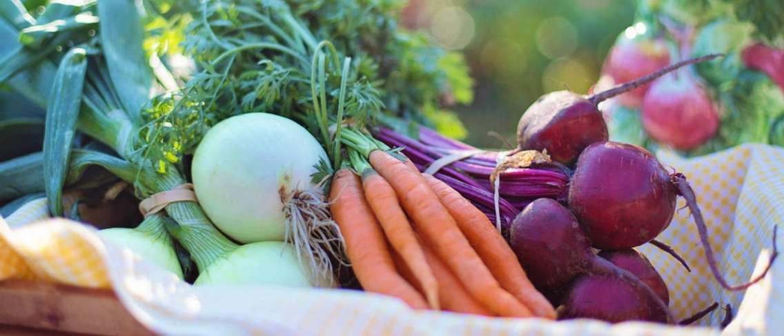 Makanan Organik, Sihat untuk Tubuh dan Alam Sekitar