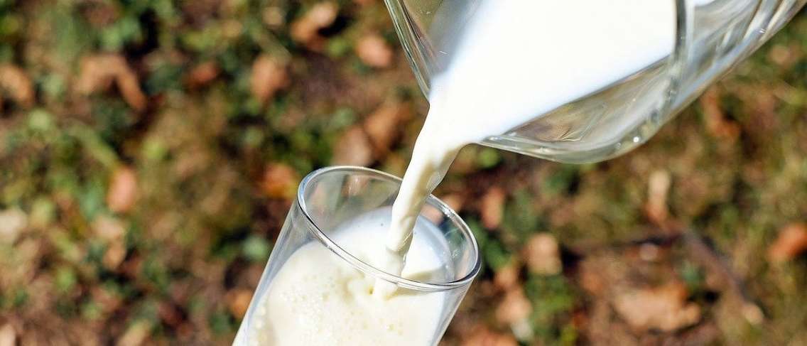 Bunlar yaşa göre süt içmenin faydaları