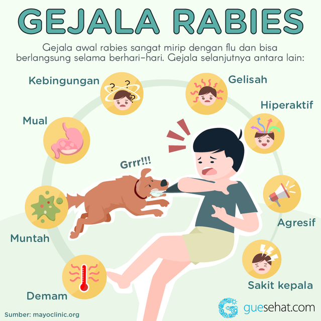 Gejala Rabies -GueSehat.com