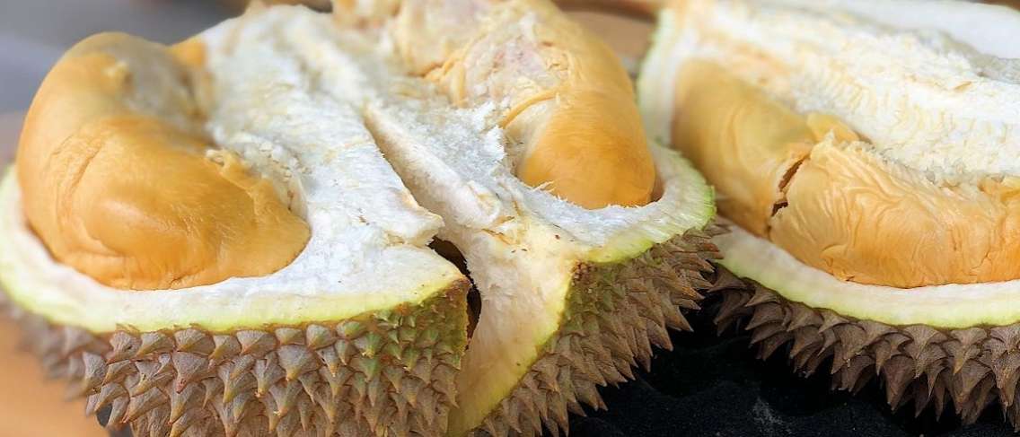 Khasiat Durian untuk Kesihatan
