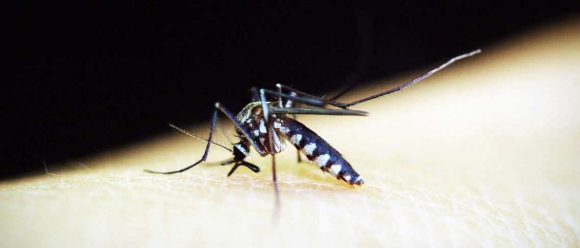 Waspada dan Ikuti Pencegahan Malaria Sebelum Terlambat!