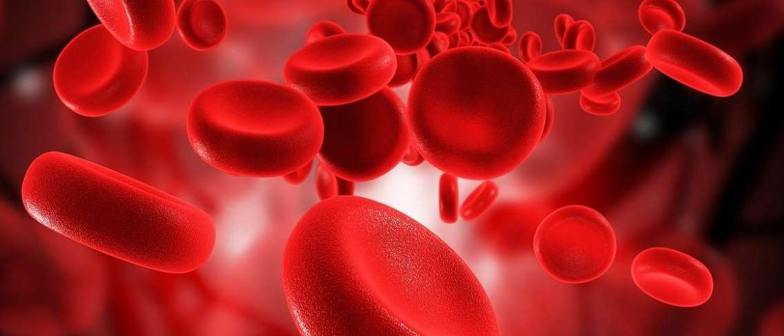 Тест: Тествайте знанията си за кръвната група
