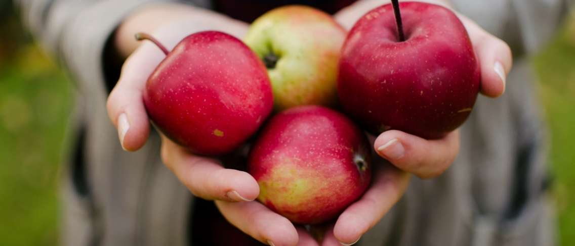Adakah Epal Selamat untuk Diabetes? Inilah Panduan Makan Epal untuk Diabetes!