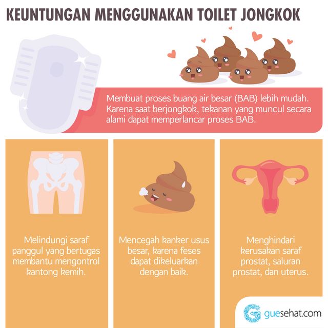 Факти за клека в тоалетната