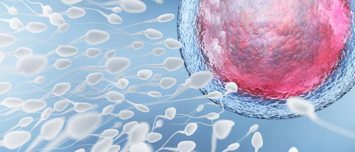 Hamile Kalma Şansını Arttıran Sağlıklı Sperm Belirtileri