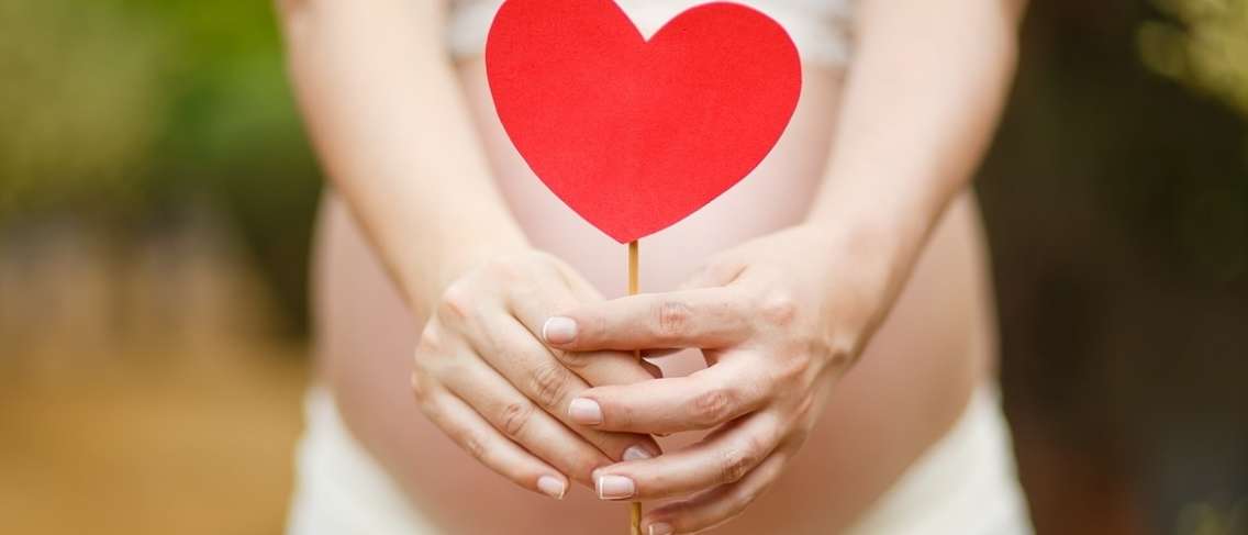 شكل ووظيفة وتطور الرحم أثناء الحمل