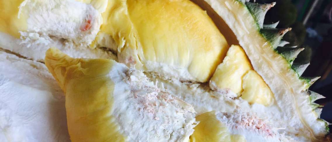 Hamile Kadınlar Durian Yiyebilir mi?